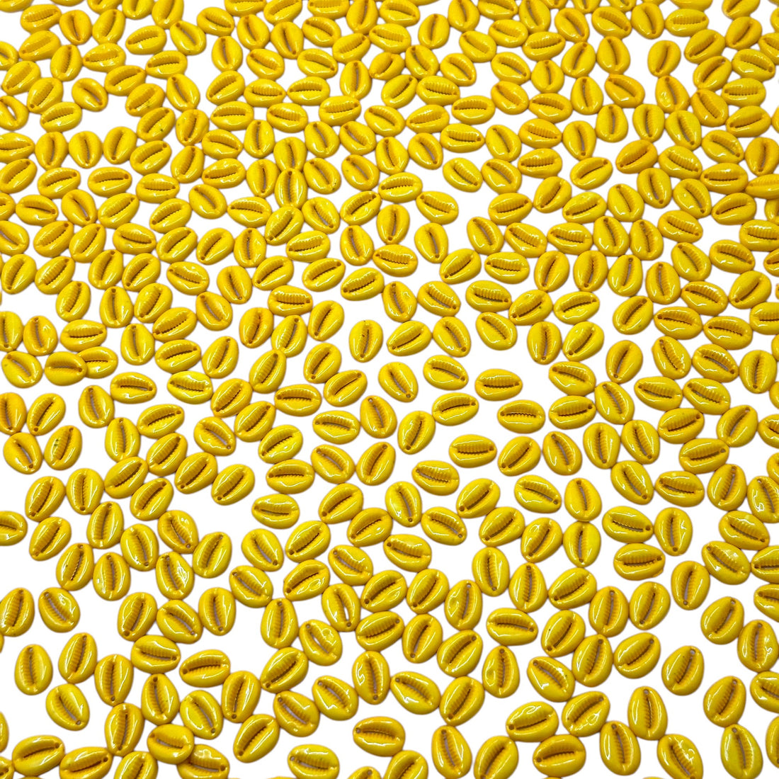 Bright yellow Kodi shells for Toran and Rakhi making
