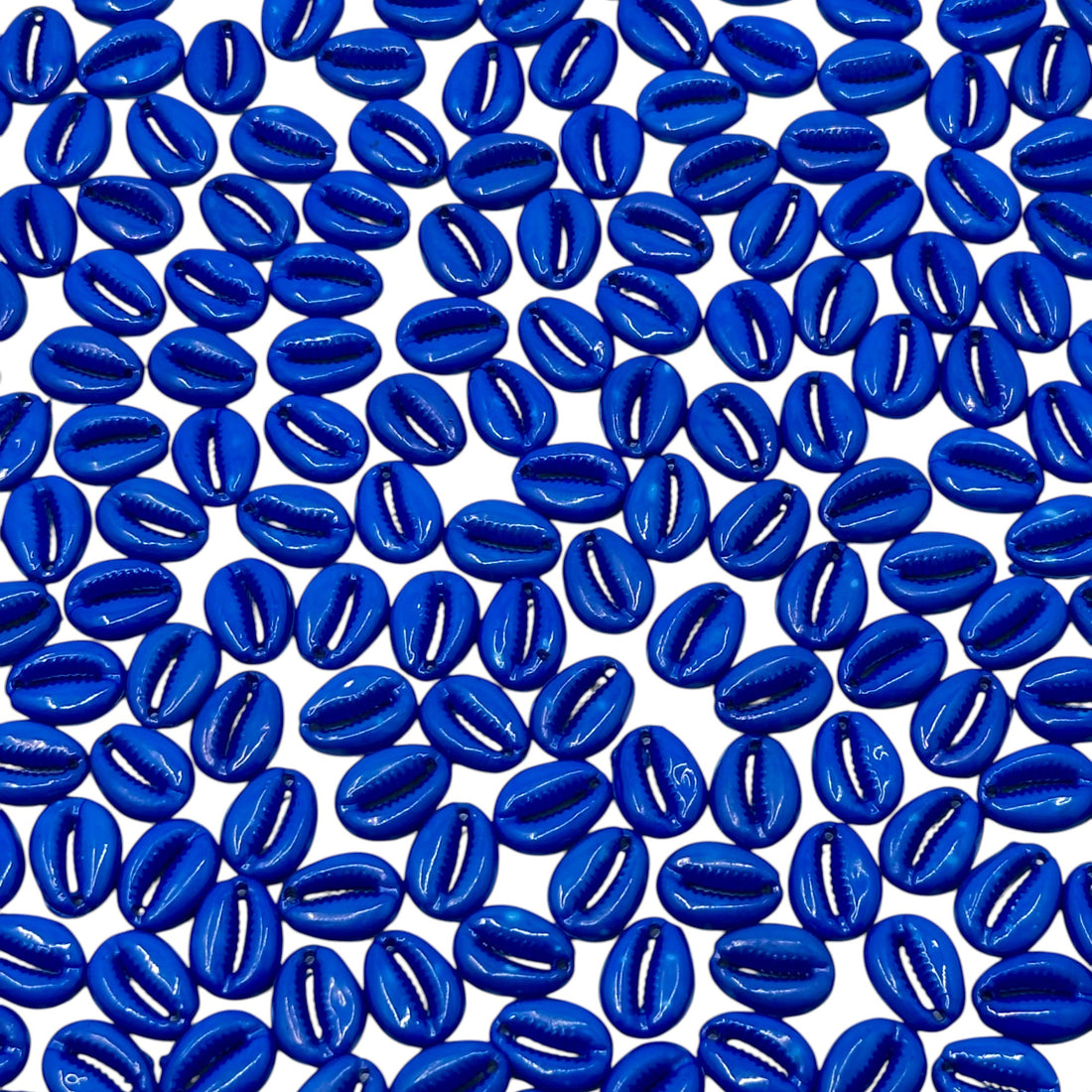 Royal blue colored Cowrie Kodi shells for DIY crafts and jewelry