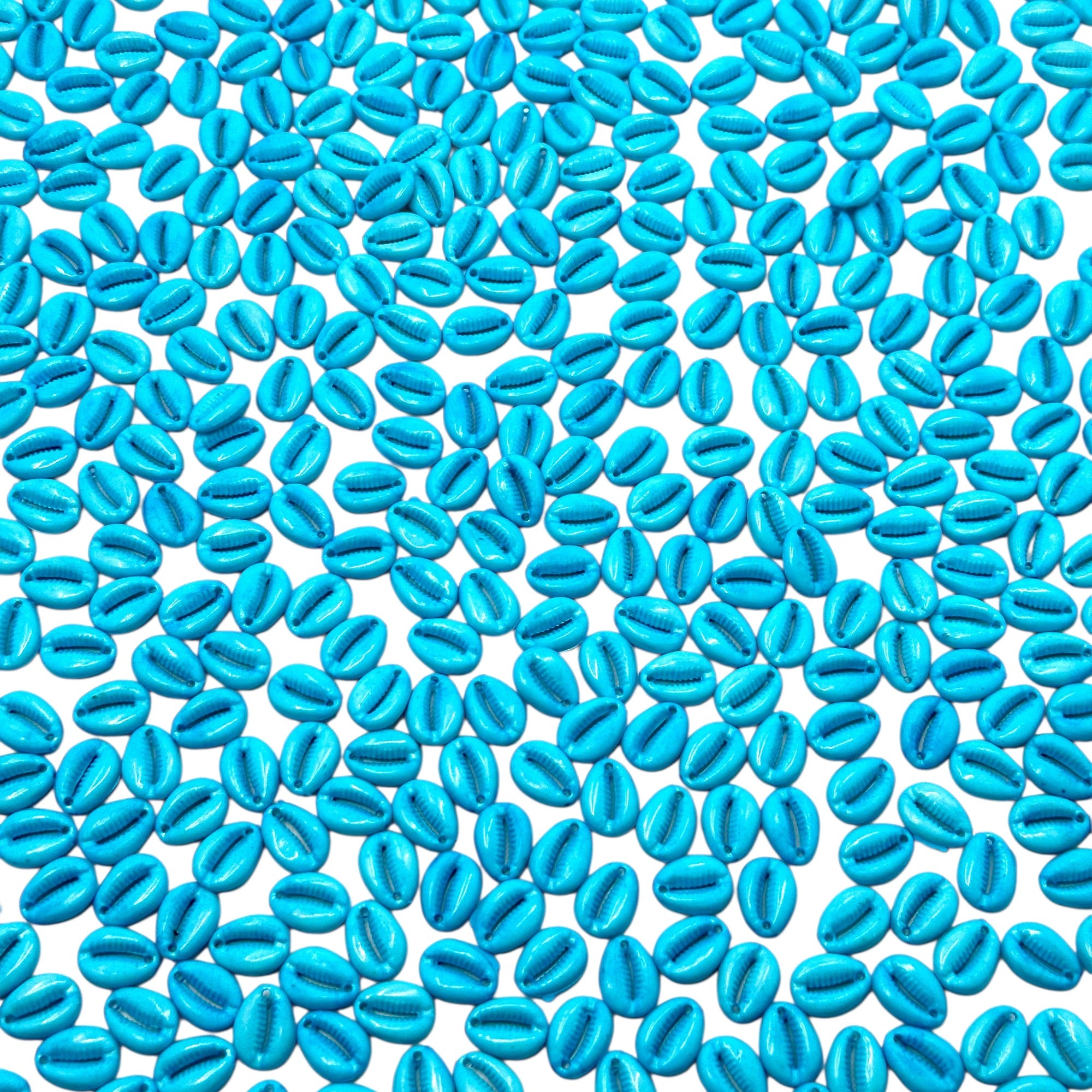 light cyan blue Kodi shells for beach inspired DIY crafts