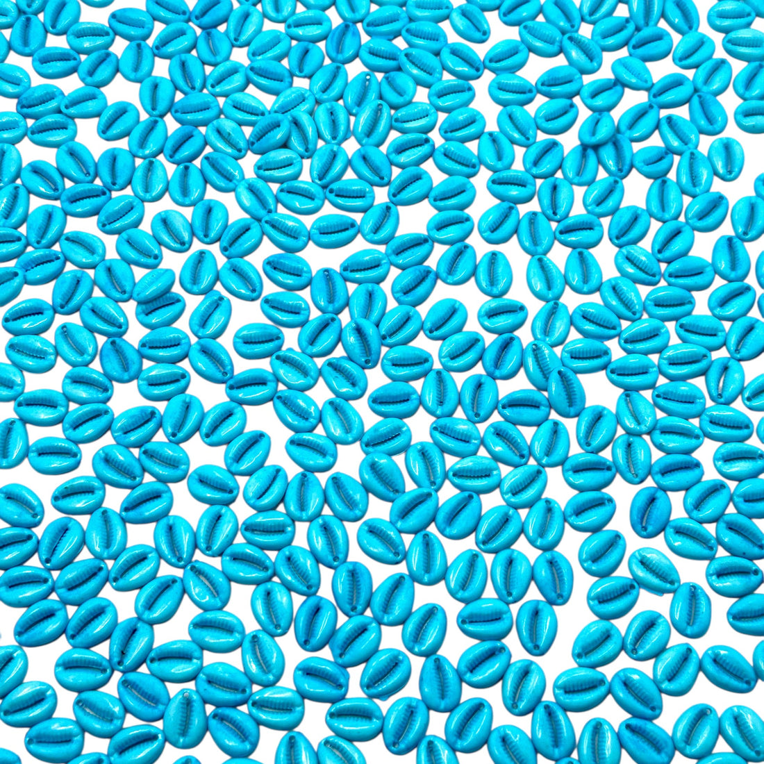 light cyan blue Kodi shells for beach inspired DIY crafts